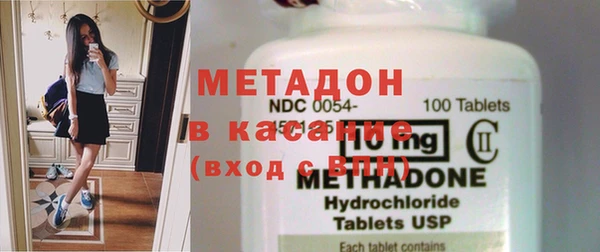 прущие грибы Белокуриха