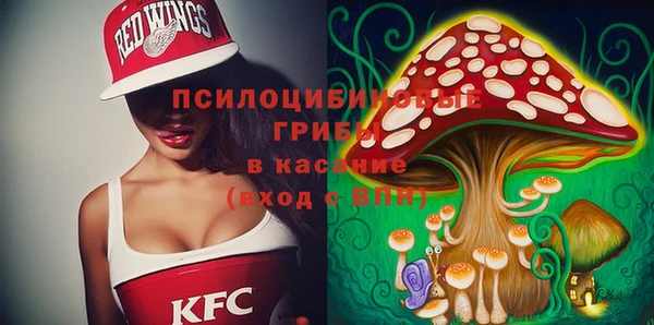прущие грибы Белокуриха