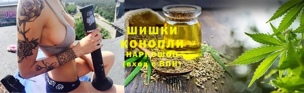 прущие грибы Белокуриха